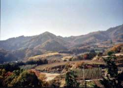 enzan-017.jpg