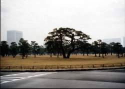 Kaiserpalast_maerz2001-12_750.jpg