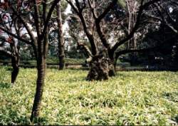 Kaiserpalast_maerz2001-24_750.jpg
