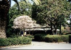 Kaiserpalast_maerz2001-36_750.jpg