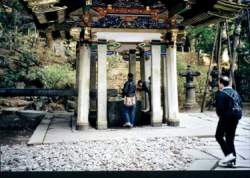 nikko-010.jpg