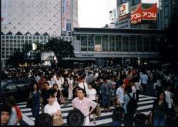 shibuja5.jpg