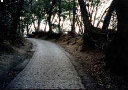 Takaosanguchi_maerz2001-10_750.jpg
