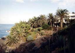 Playa_de_las_Americas-05.jpg